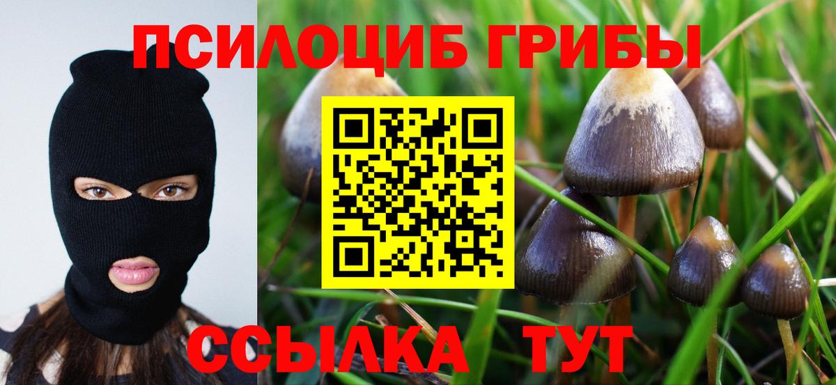 Лиски  Псилоцибиновые грибы GOLDEN TEACHER  Вход с VPN  Галлюциногенные грибы ЛСД 